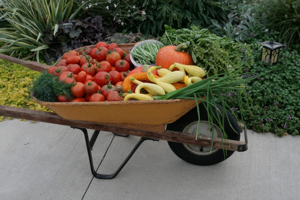 post-harvest-handling-master-gardener-program