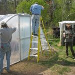 volunteers building greenhouse