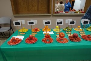tomato display
