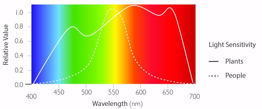The diagram of the light spectrum showing that plants and people are sensitive to different wavelengths of light.